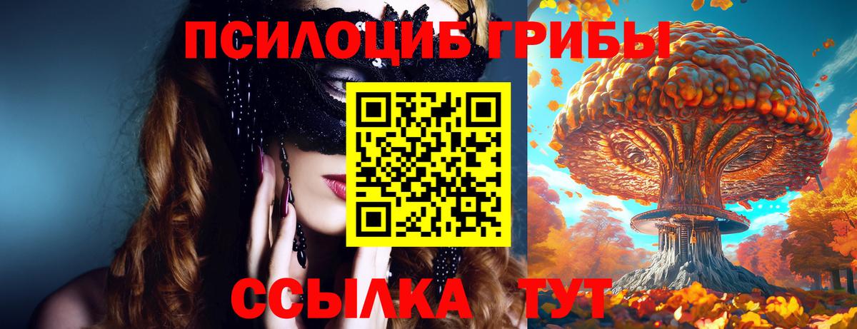 Корсаков  Галлюциногенные грибы мицелий  Вход с VPN 